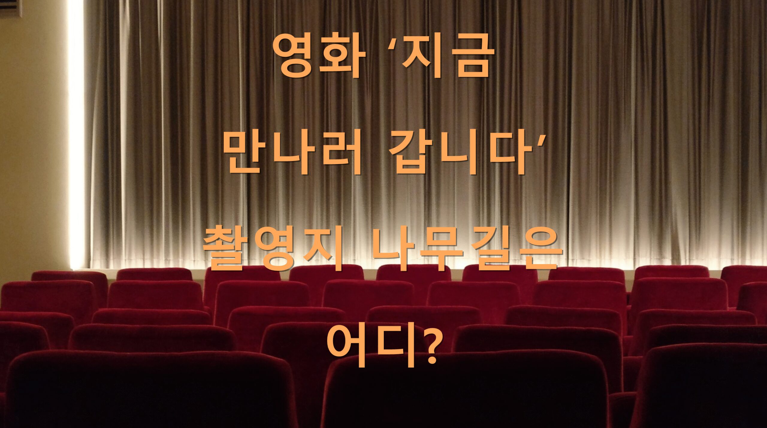 영화 ‘지금 만나러 갑니다’ 촬영지 나무길은 어디?